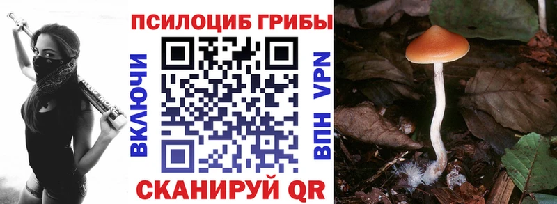 Галлюциногенные грибы ЛСД  Купить  Балашов 