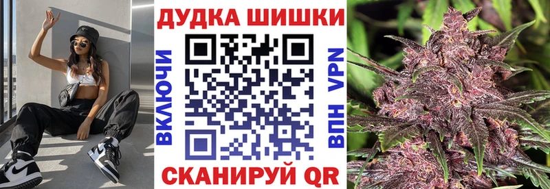 Купить  Балашов  Конопля сатива 